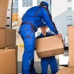Why Star Van Lines Are the Best Movers in Colorado